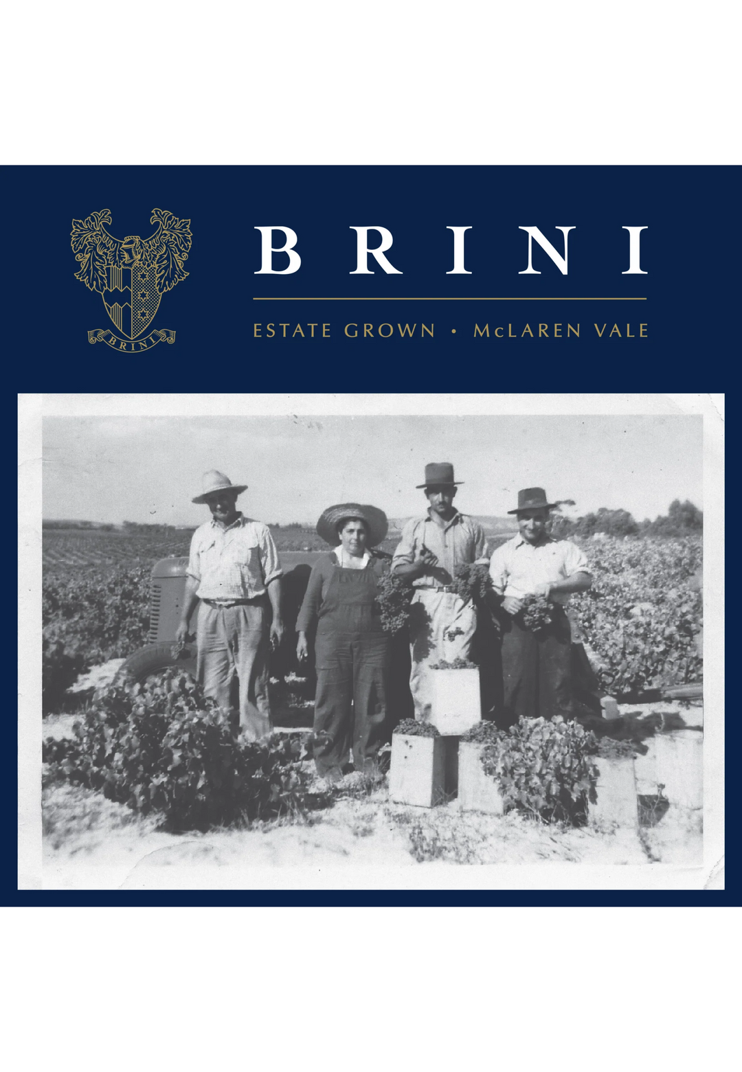 Limited Release Shiraz Vertical 6 PACK - Event Special